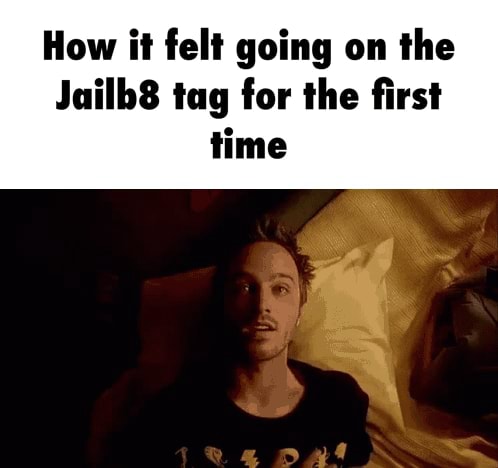 How it felt going on the Jailb8 tag for the first time - iFunny->