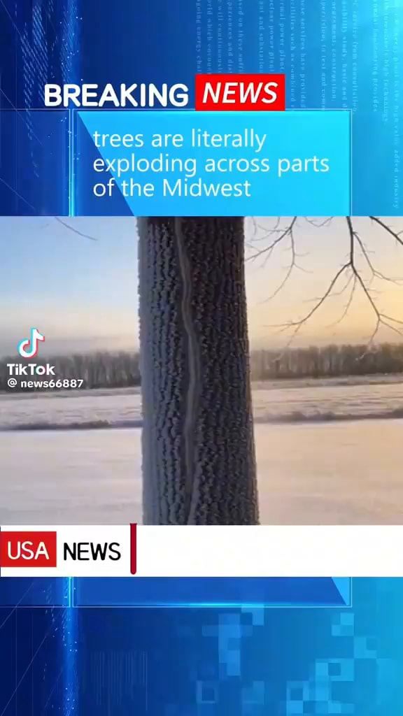 Midwest Exploding Tree Risk BREAKING NEWS trees are literally exploding across parts afthe Midwest ...