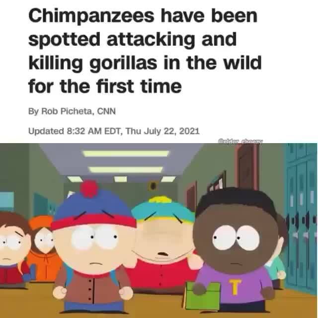 Chimpanzees have been spotted attacking and killing gorillas in the