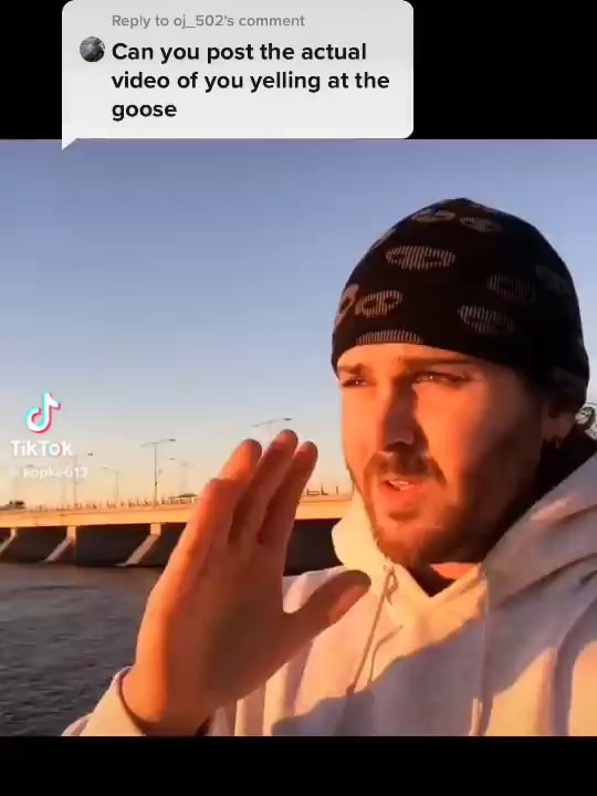 can-you-post-the-actual-video-of-you-yelling-at-the-goose-ifunny