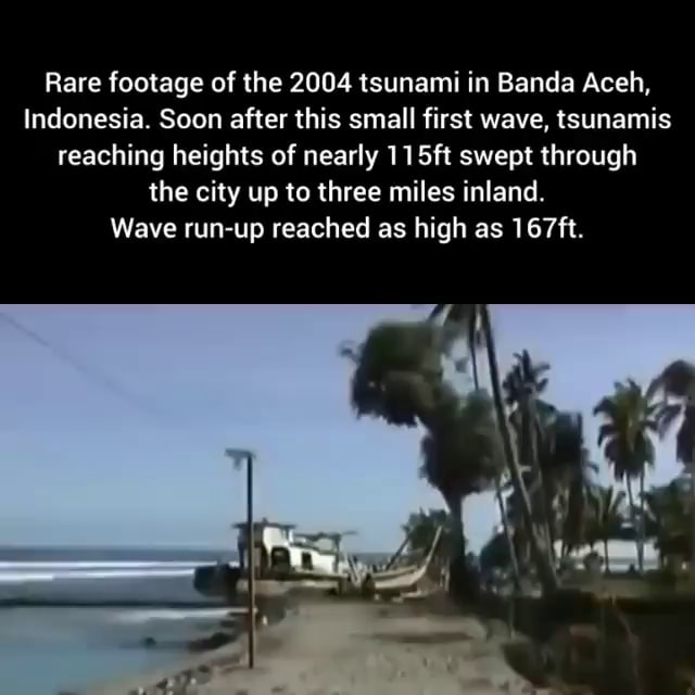 3 tsunami