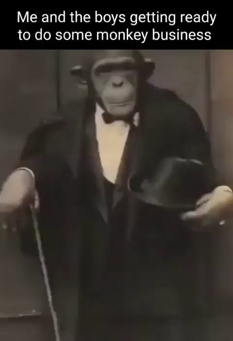Me and the boys getting ready to do some monkey business - iFunny