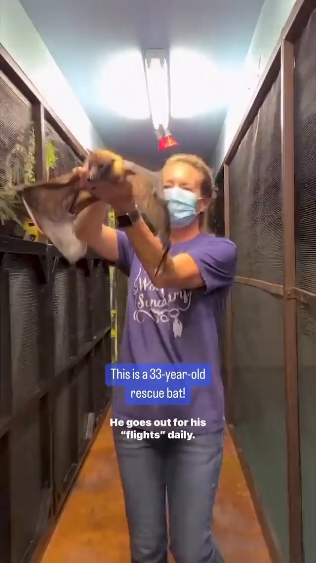 He’s living out his golden years in the BEST way 💛 (🎥 ...