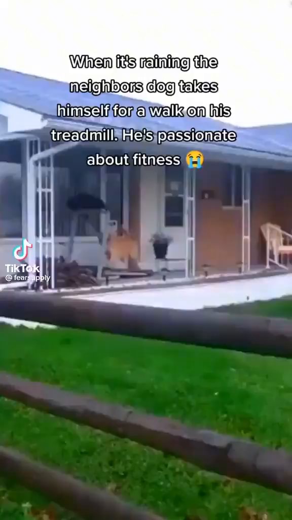When its raining the aaficihiners dog takes himself for a treadmill. He