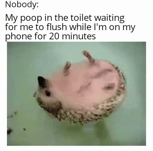 Nobody My poop in the toilet waiting for me to flush while I'm on my