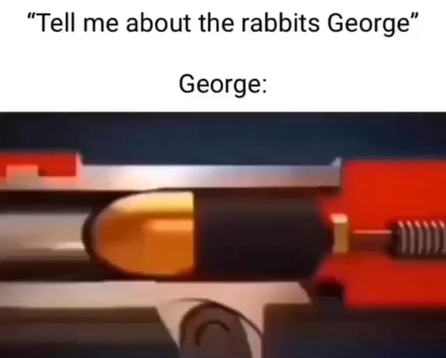  tell me about the rabbits george george ifunny