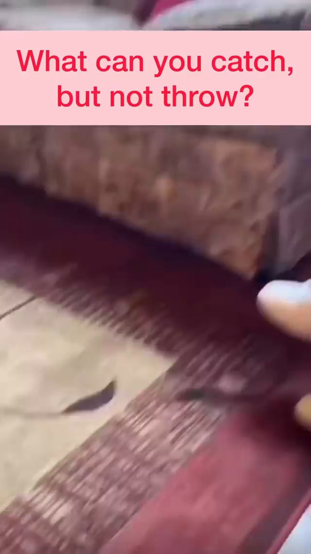 What Can You Catch But Not