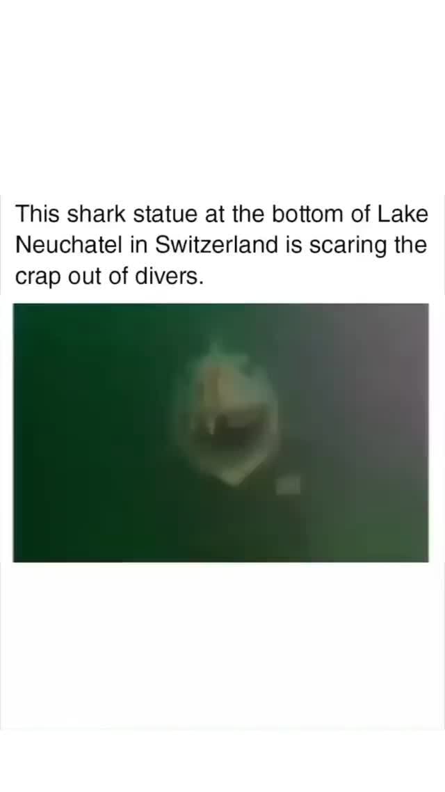 This shark statue at the bottom of Lake Neuchatel in Switzerland is