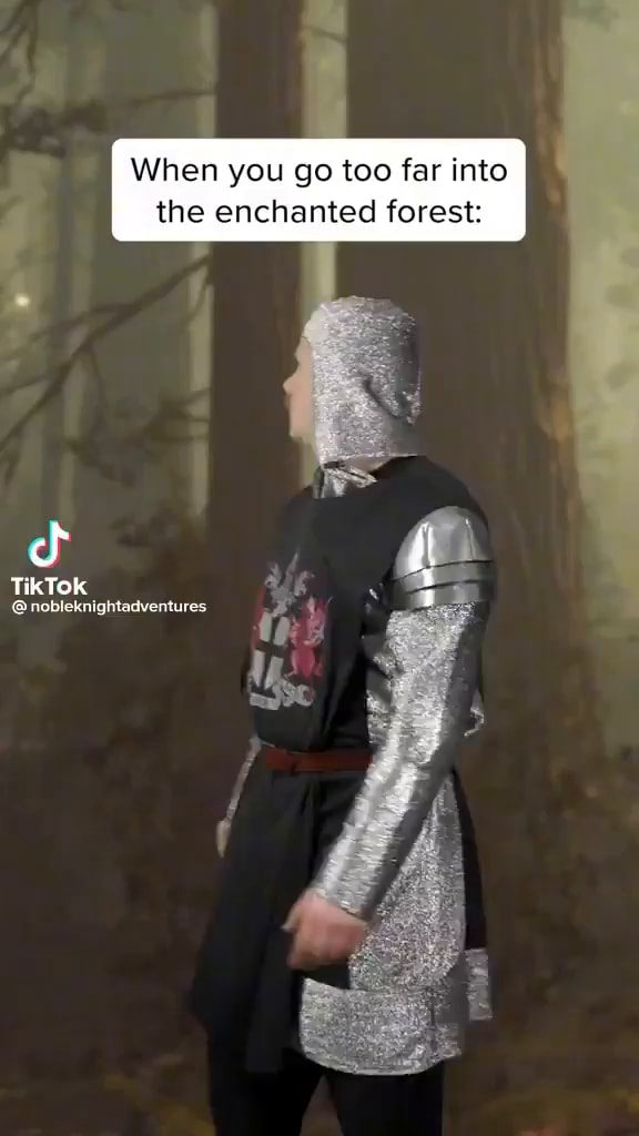 When you go too far into the enchanted forest TikTok iFunny