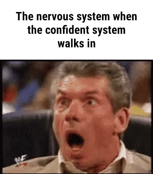 Nervous System When Confident System Walks In The nervous system when the confident system walks in - iFunny