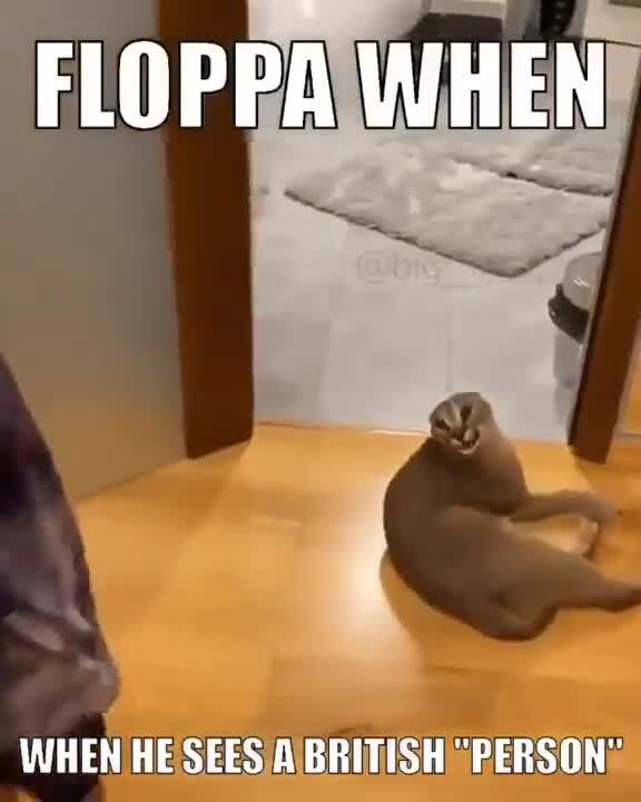 FLOPPA WHEN WHEN HE SEES A BRITISH 