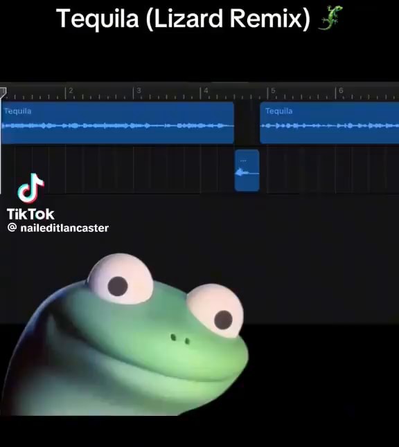 Lizard Remix Tequila (Lizard Remix) TikTok naileditiancaster - iFunny