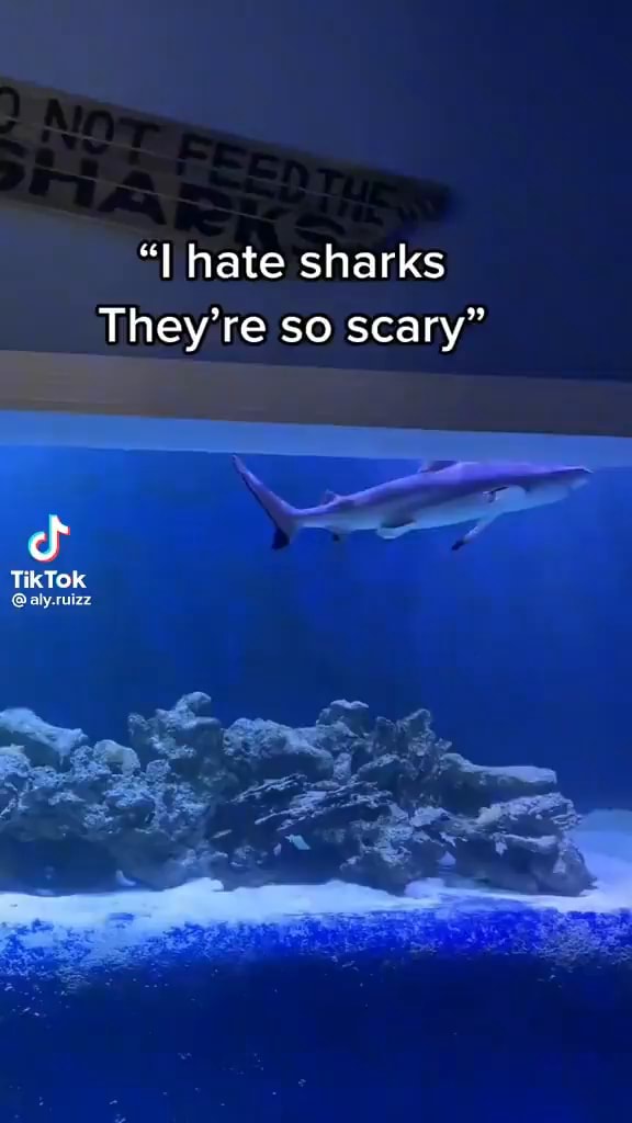 "I hate sharks They're so scary" TikTok @aly.ruizz - iFunny