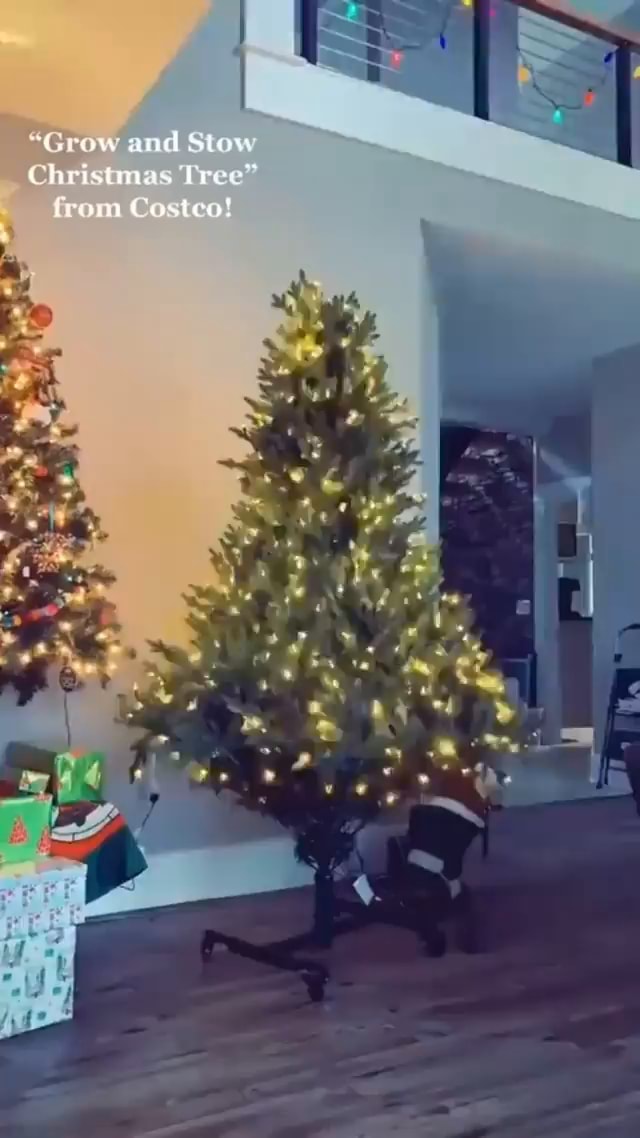 "Grow and Stow Christmas Tree" from Costco! iFunny