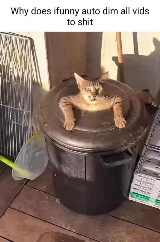 Why does ifunny auto dim all vids to shit - iFunny