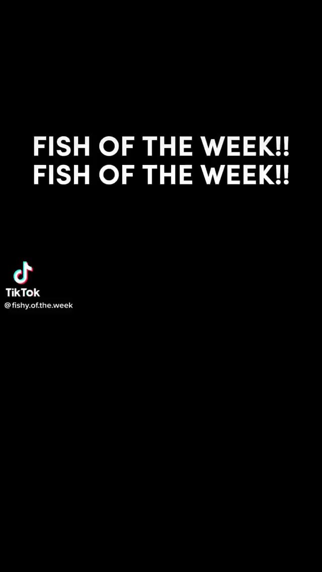 FISH OF THE WEEK!! FISH OF THE WEEK!! TikTok fishy.ofthe.week - iFunny