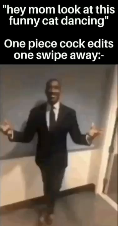  hey Mom Look At This Funny Cat Dancing One Piece Cock Edits One Swipe 