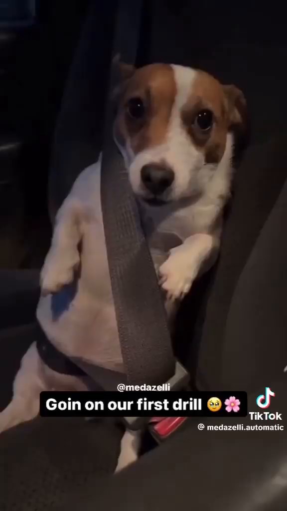 Medazelli Goin on our first drill TikTok medazelli.automatic iFunny