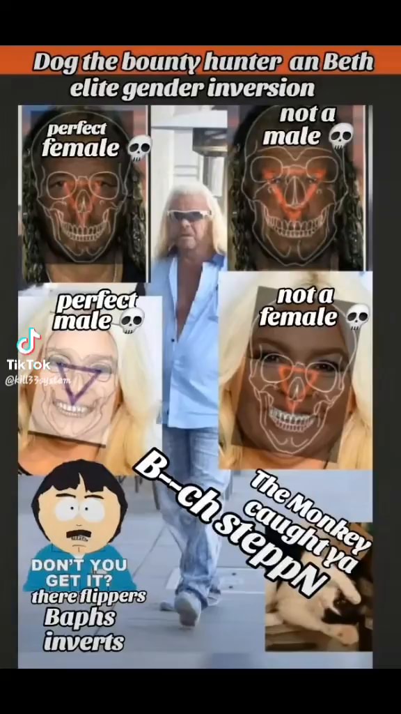 Dog hunter. an Beth elite gender inversion I female mule - iFunny