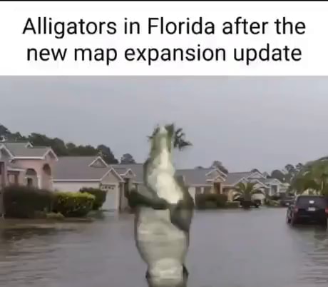 Alligators In Florida After The New Map Expansion Update America S 9af65128a2fa99b67dd6371ce3701cd58155d2efb151a9d7b49c67c3b151c841 3