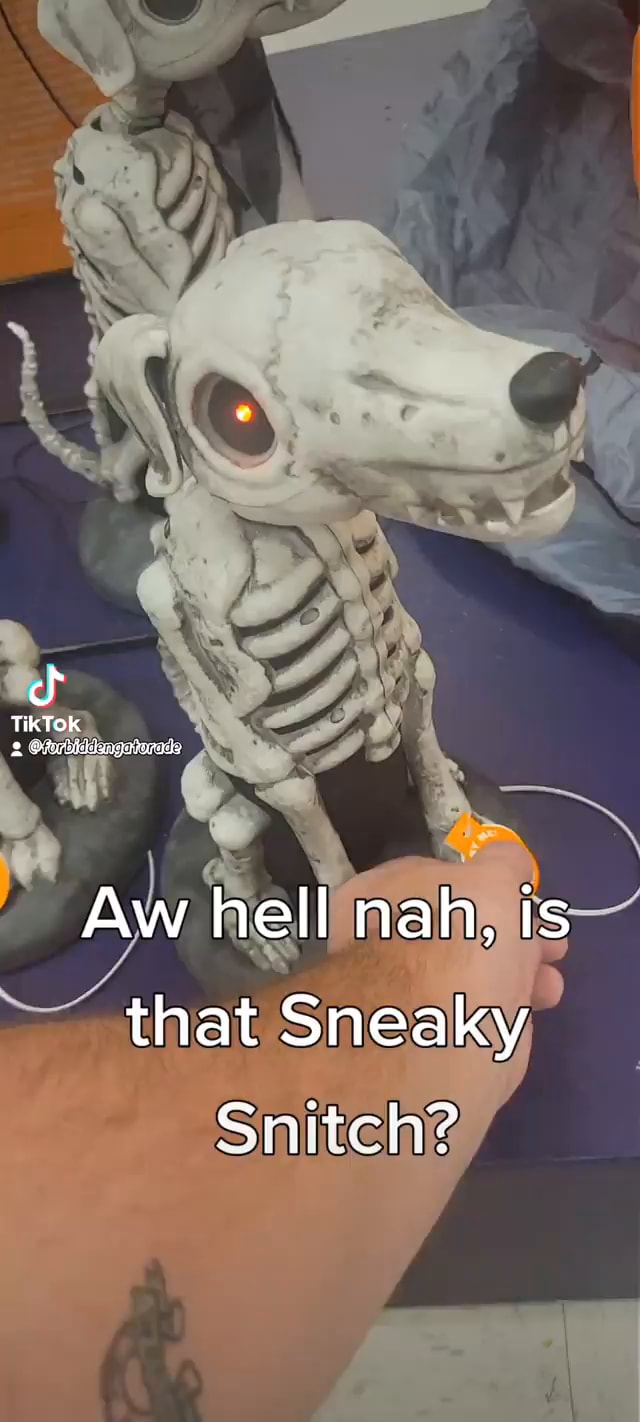 TikTOk Aw hell nah, is that Sneaky Snitch? )