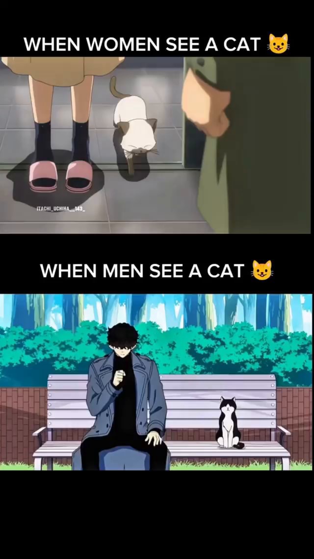 WHEN WOMEN SEE A CAT WHEN MEN SEE A CAT - iFunny