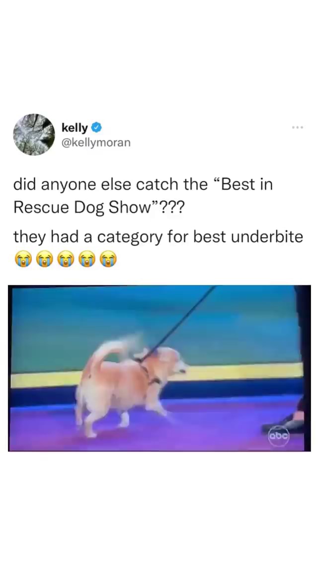 Kelly kellymoran did anyone else catch the "Best in Rescue Dog Show