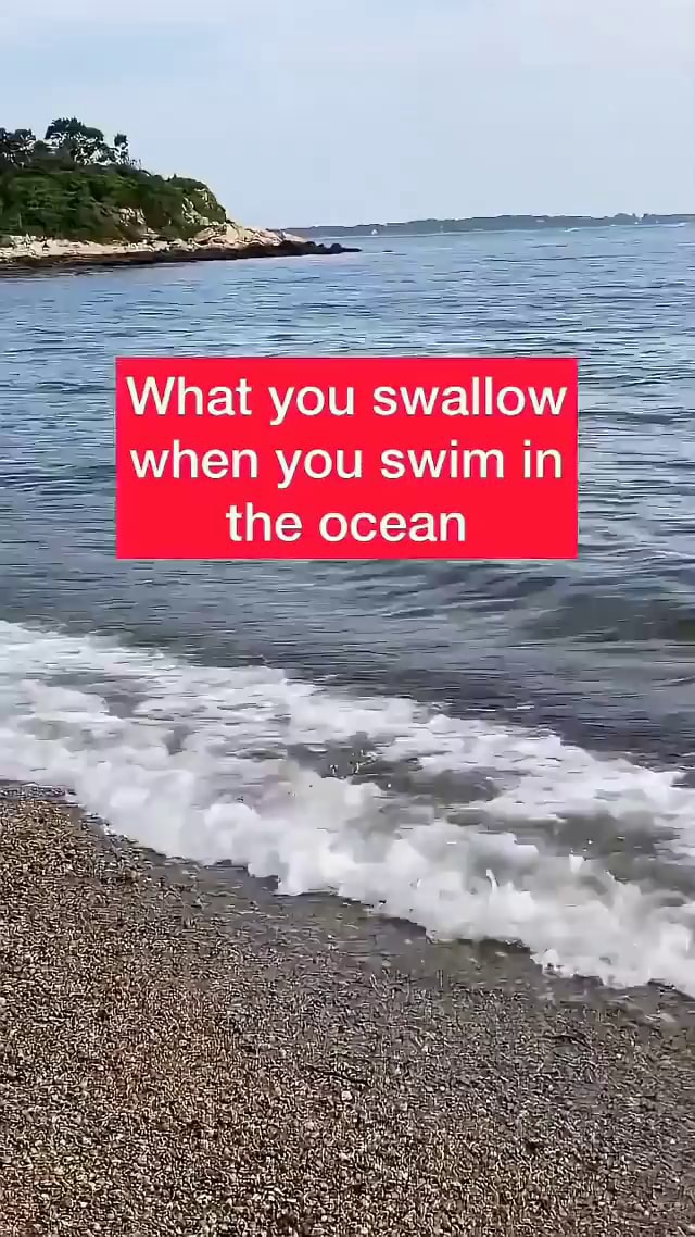 What you swallow when you swim in the ocean - iFunny