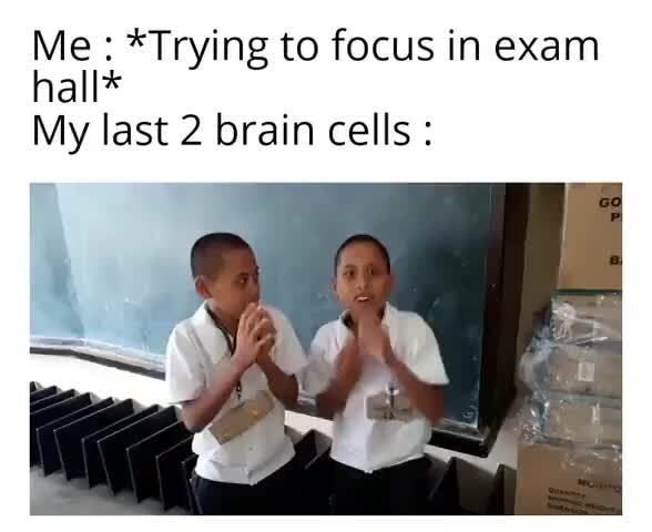 Me: *Trying to focus in exam hall* My last 2 brain cells - iFunny