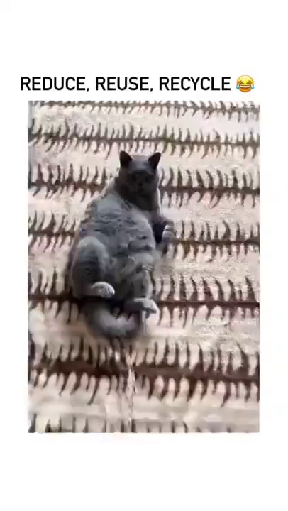 REDUCE, REUSE, RECYCLE - iFunny