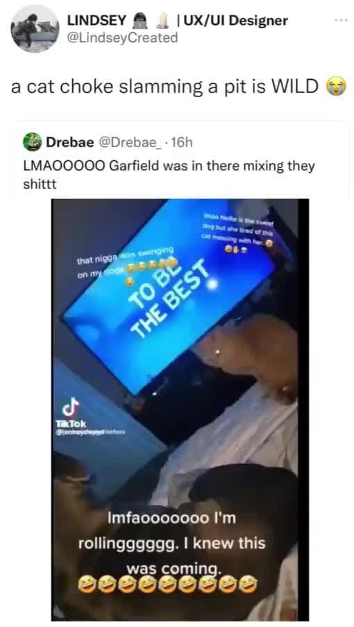 UNDSEY Designer a cat choke slamming a pit is WILD Drebae Drebae