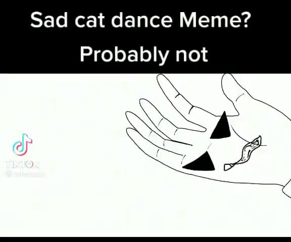 Sad Cat Dance Meme Probably Not 2and Ifunny 9199