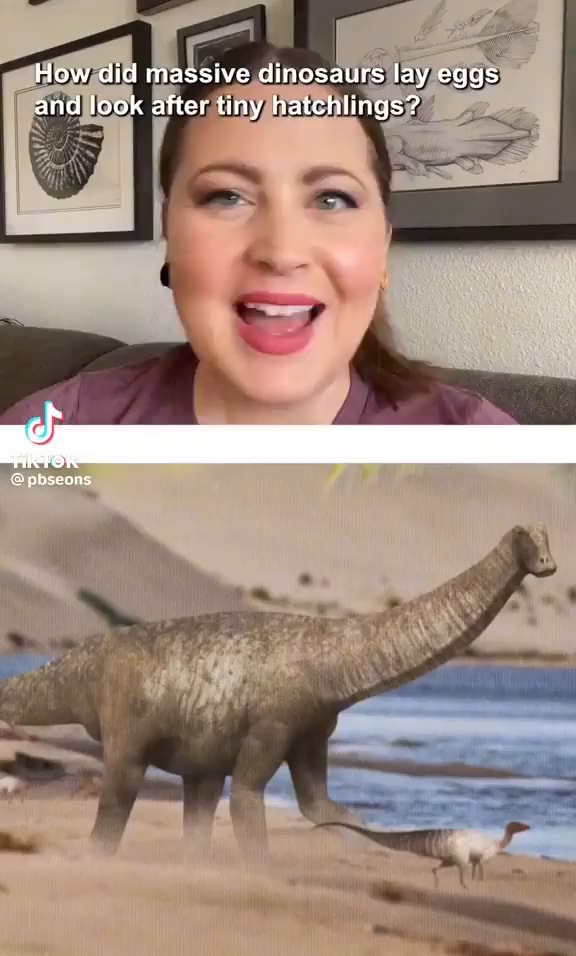 how-did-massive-dinosaurs-lay-eggs-and-look-after-tiny-hatchlings-ifunny
