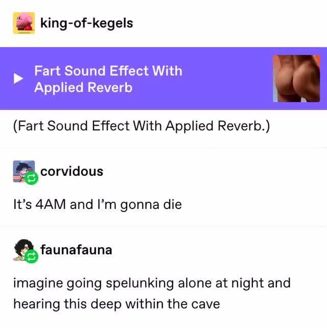 ª king-of-kegels (Fart Sound Effect With Applied Reverb.) It's 4AM and I'm  gonna die imagine going spelunking alone at night and hearing this deep  within the cave - iFunny