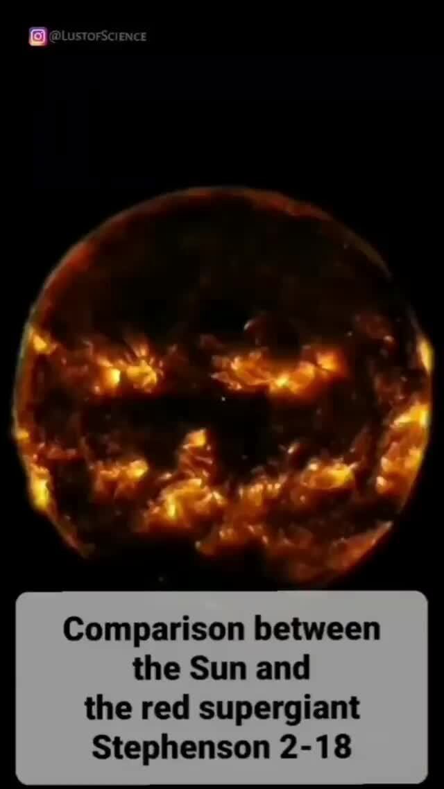 Comparison Between The Sun And The Red Supergiant Stephenson 2 18 Ifunny Comparison Between The Sun And The Red Supergiant Stephenson 2 18 Ifunny