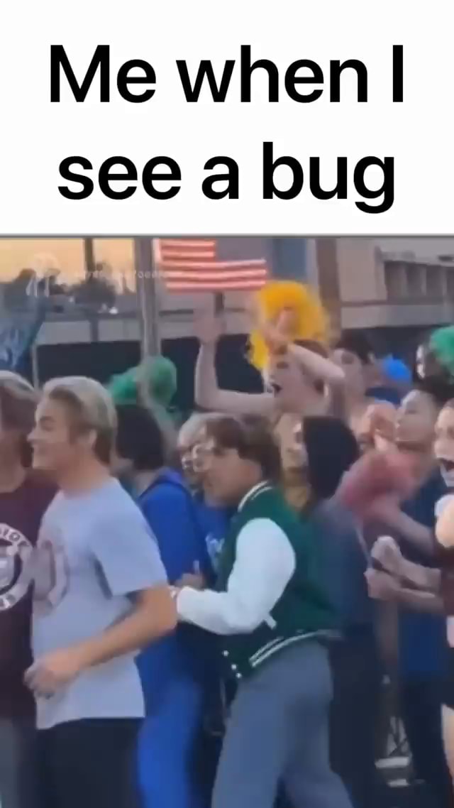 Me when I see a bug AL - iFunny