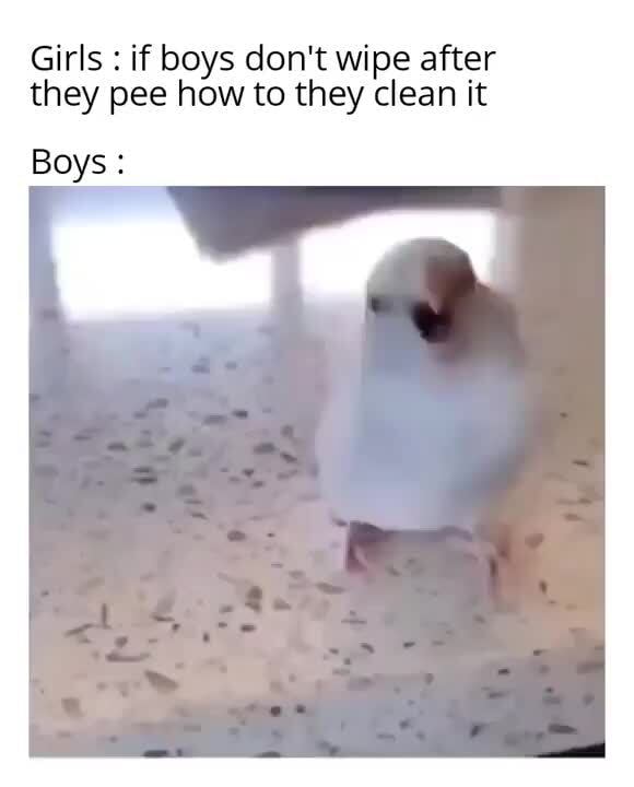 Girls if boys don't wipe after they pee how to they clean it Boys iFunny