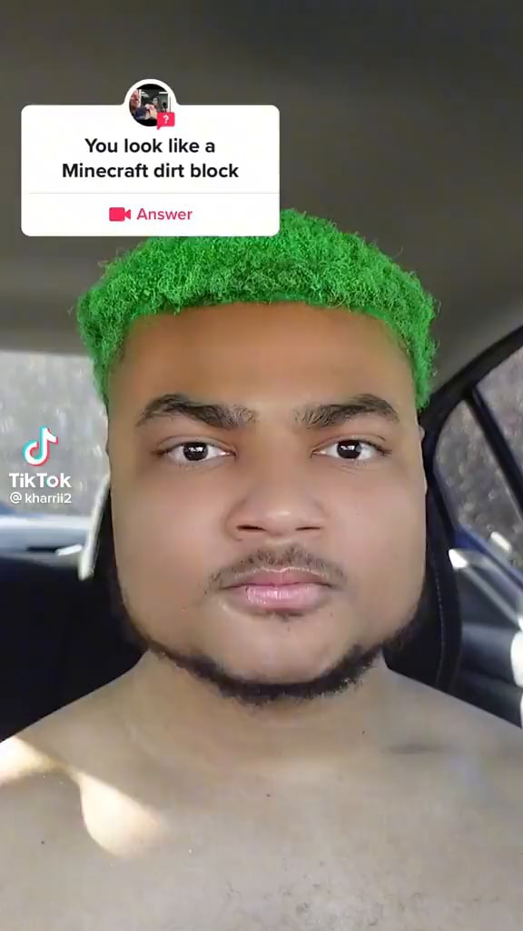 You look like a Minecraft dirt block Answer TikTek ul iFunny