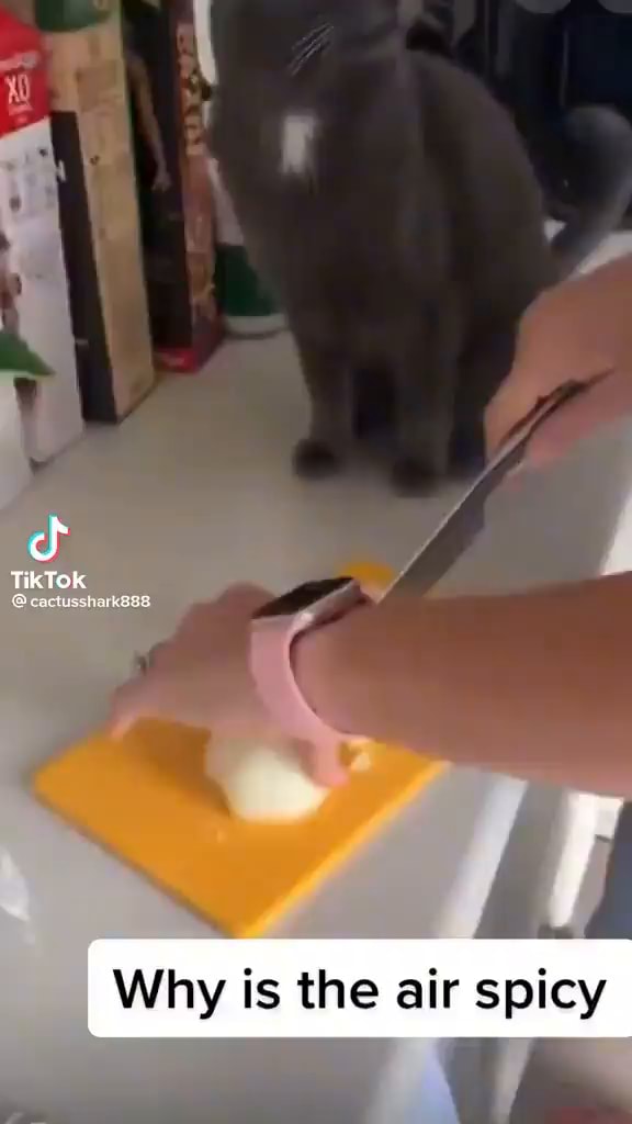 TikTok Why is the air spicy iFunny