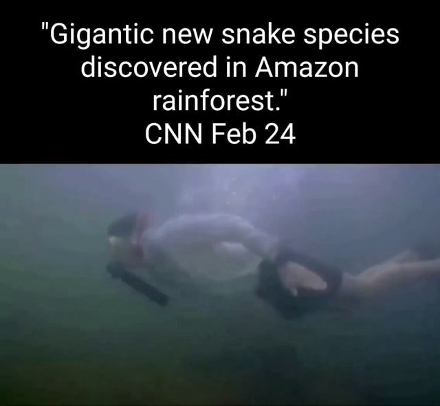 "Gigantic New Snake Species Discovered In Amazon Rainforest." CNN Feb ...