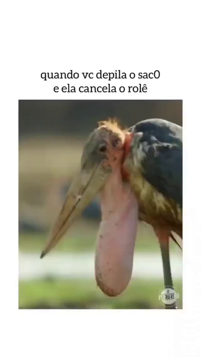 Quando Vc Depila O SacO E Ela Cancela O Rol 