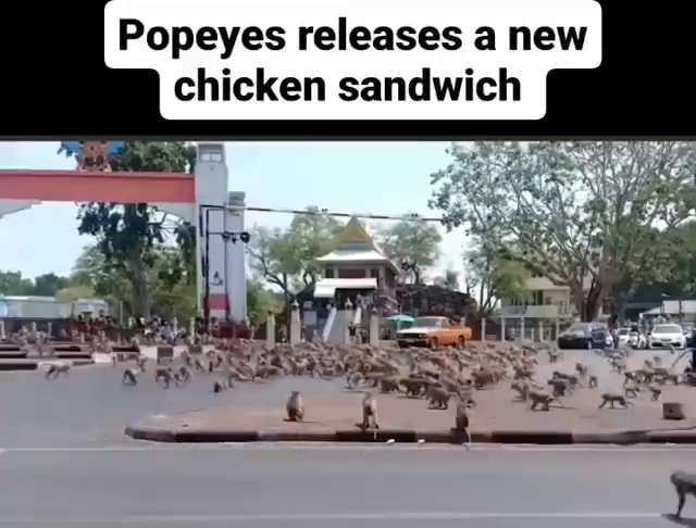 Popeyes releases a new chicken sandwich - iFunny