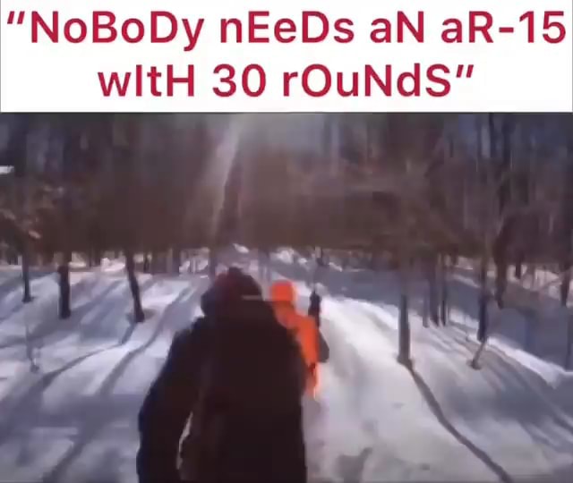 "NoBoDy nEeDs aN aR-15 witH 30 rOuNdS" - iFunny