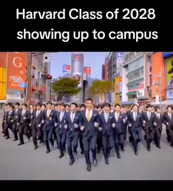 harvard-class-of-2028-showing-up-to-campus-mm-lite-ifunny