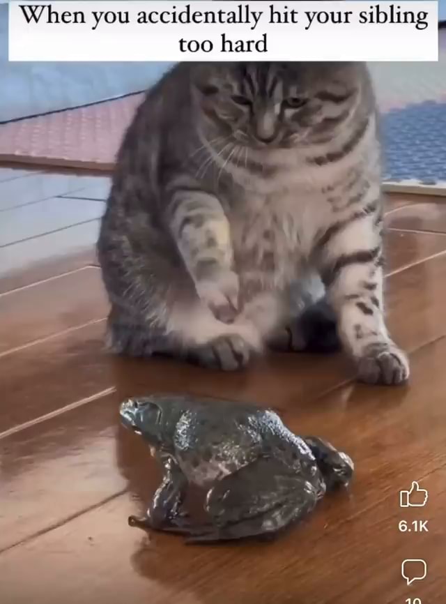 When you accidentally hit your sibling I. too hard - iFunny