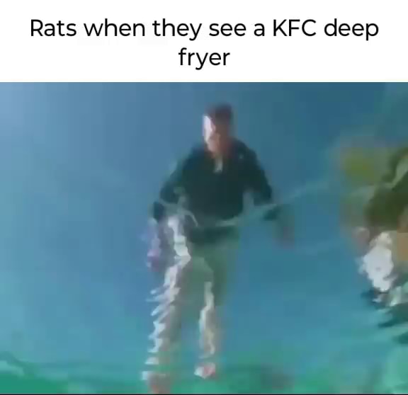 Rats when they see a KFC deep fryer iFunny