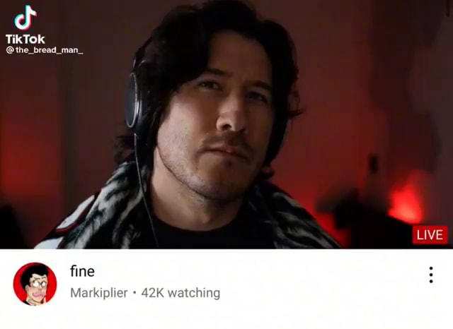 TikTok fine Markiplier watching - iFunny