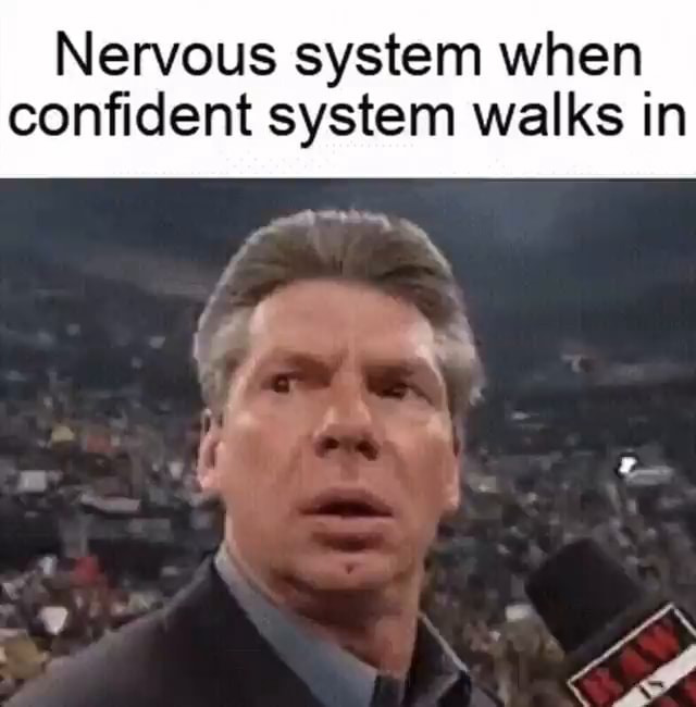 Nervous system when confident system walks in iFunny