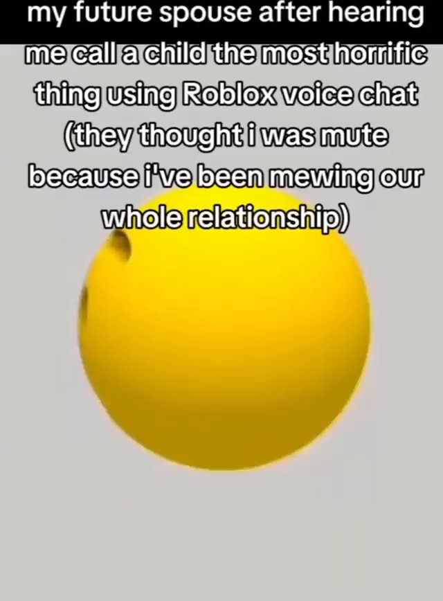 My future spouse after hearing me calla child the most horrific thing using Roblox  voice chat {they thought i was mute because i've been mewing our whole  relationship) - iFunny