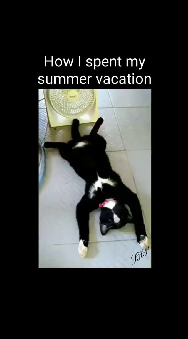 How I spent my summer vacation iFunny